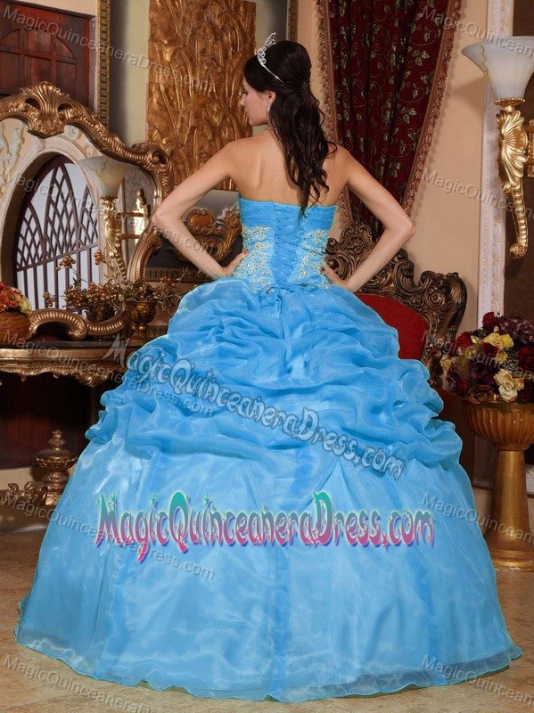 2014 Baby Blue Ball Gown Strapless Appliques Quinceanera Dress in Montclair