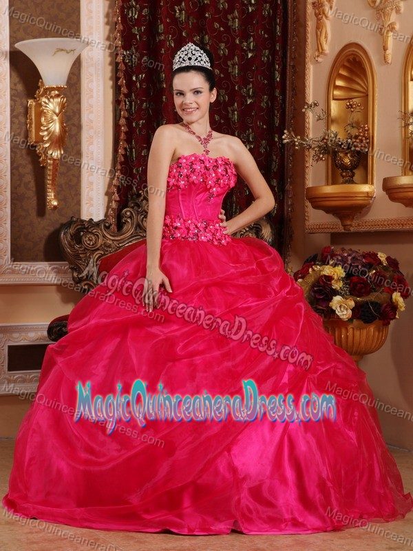 Coral Red Ball Gown Strapless Organza Sweet Sixteen Dresses with Appliques