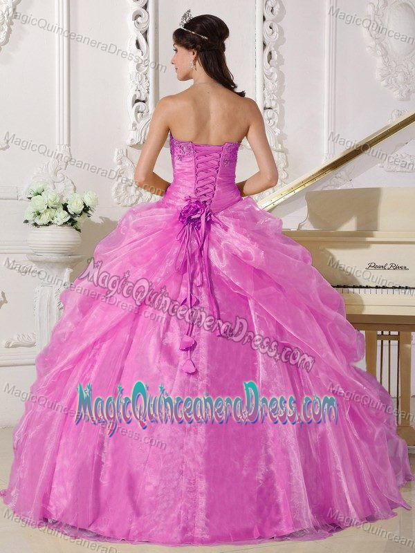 Pink Ball Gown Strapless Organza Embroidery with Beading Quinceanera Dress