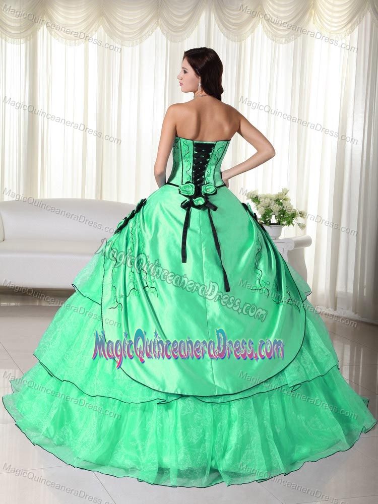 Organza Apple Green Strapless Dresses for Quince with Embroidery in Boulder