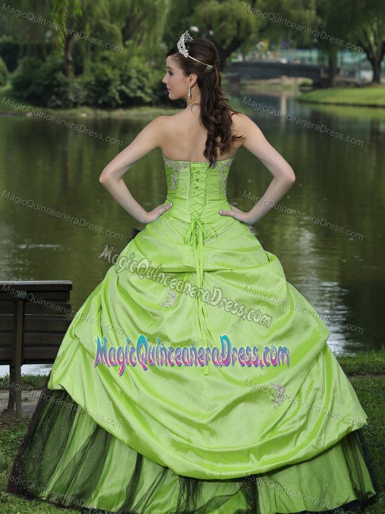 Sassy Green Sweetheart Quinceanera Gown Dresses with Beading and Flower