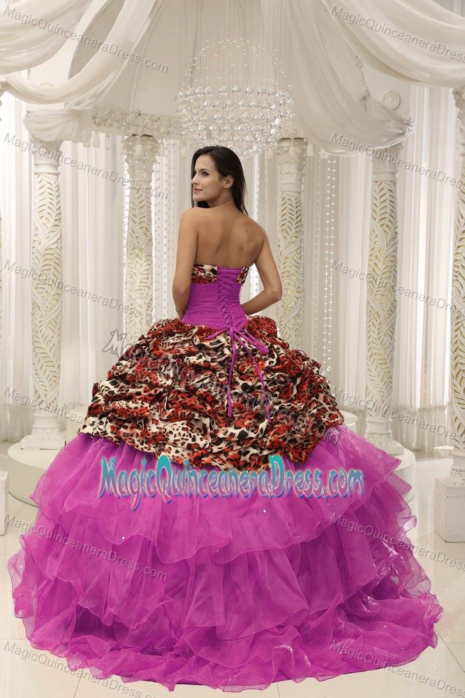 Multi-color Strapless Floor-length Quinceanera Dress with Ruffles in Aspen