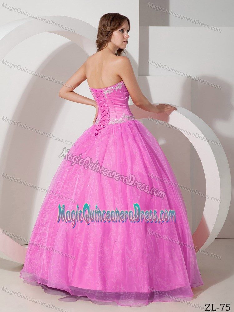 Pink Sweetheart Sweet 15 Dresses in Floor-length with Appliques in Albany
