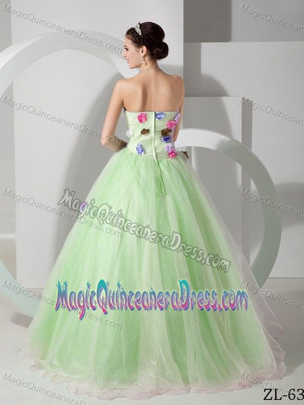 Apple Green A-line Strapless Dresses for Quince with Flowers in Evergreen