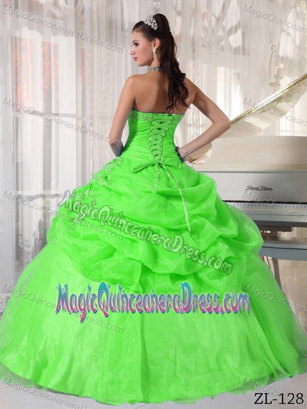 Strapless Floor-length Spring Green Quinceanera Gown Dress with Pick-ups