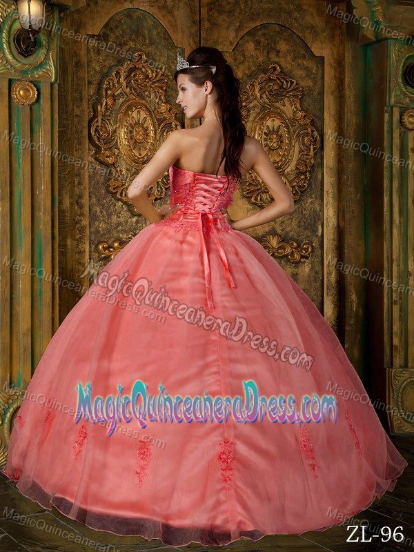 Strapless Quince Dresses in Watermelon with Appliques and Lace Up Back
