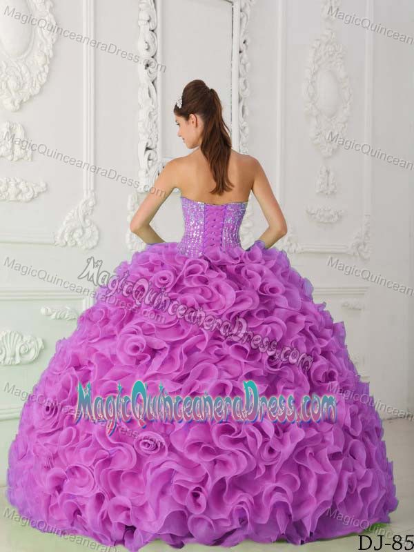 Lavender Strapless Beaded Ruffled Sweet 16 Dresses with Ruffles in Tucker