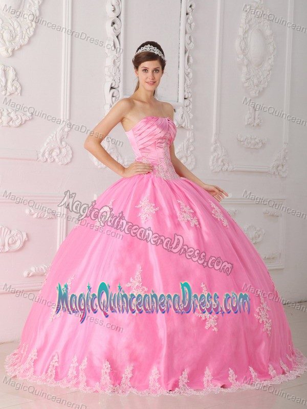 Attractive Pink Strapless Appliqued Quinceaneras Dress in Lawrenceville