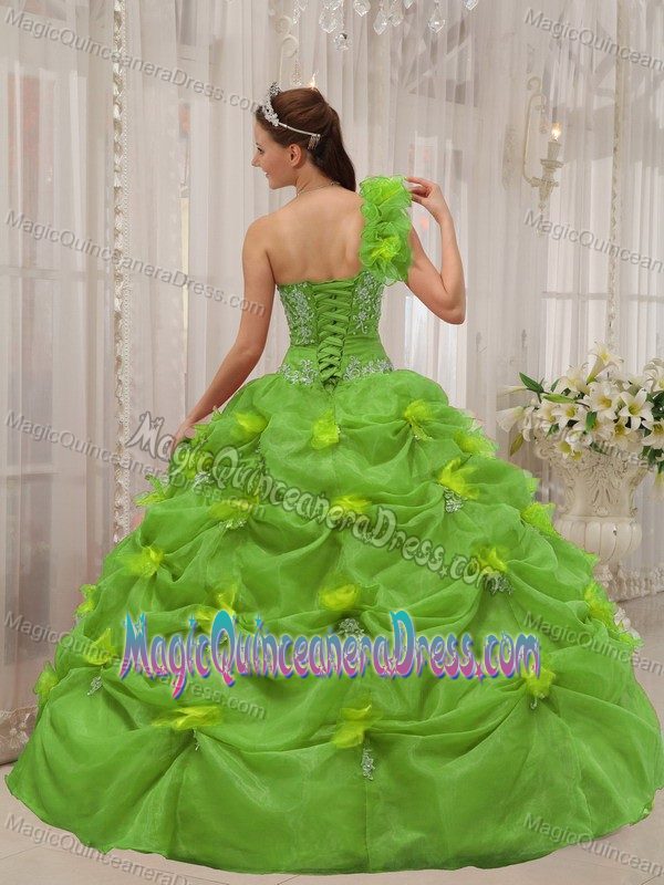 One Shoulder Spring Green Appliqued Beaded Quinceanera Gowns with Pick Ups