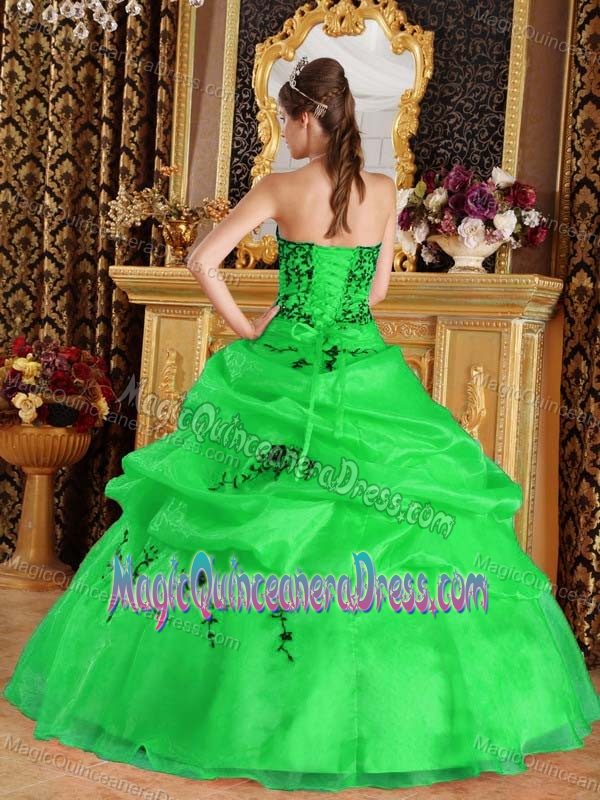 Elegant Green Sweetheart Embroidered Quinceanera Dresses in Columbus