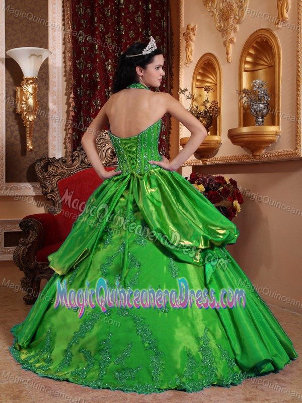 Apple Green Halter Appliqued Formal Quinceanera Gowns with Pick Ups in Albany