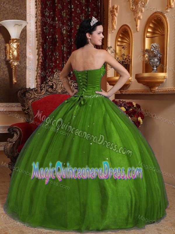 Olive Green Ruffled Sweetheart Long Dresses For Quinceanera with Flower