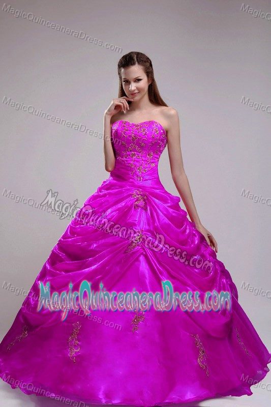 Fuchsia Strapless Floor-length Quinceanera Gowns with Appliques in Troy