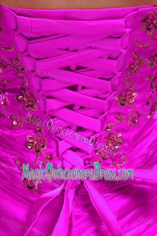 Fuchsia Strapless Floor-length Quinceanera Gowns with Appliques in Troy