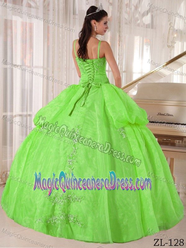 Spring Green Appliqued Floor-length Quinceanera Gown Dress with Straps