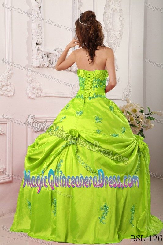 Appliques Flower and Pick Ups Ruching Sweet 16 Dresses near Fairmont