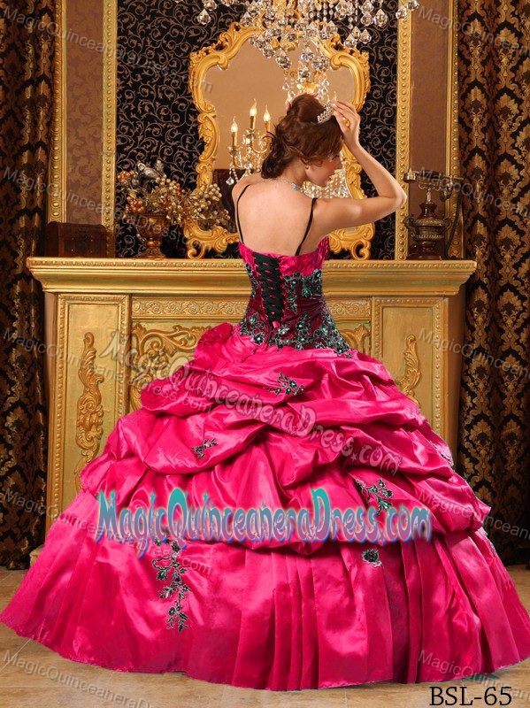 Spaghetti Straps and Pick Ups Appliqued Quinceanera Dress in Aberdeen