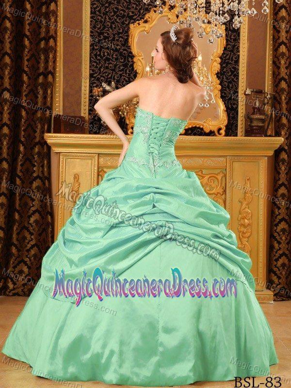 Apple Green Pick Ups and Embroidery Dress For Quinceanera in Amboy