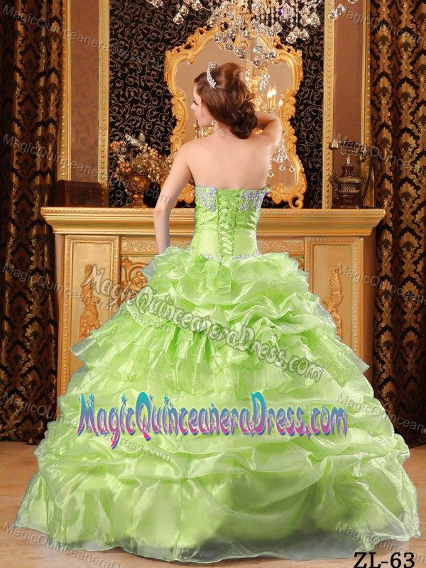 Pick Ups and Appliques Yellow Green Puffy Quinceanera Dress in Chelan