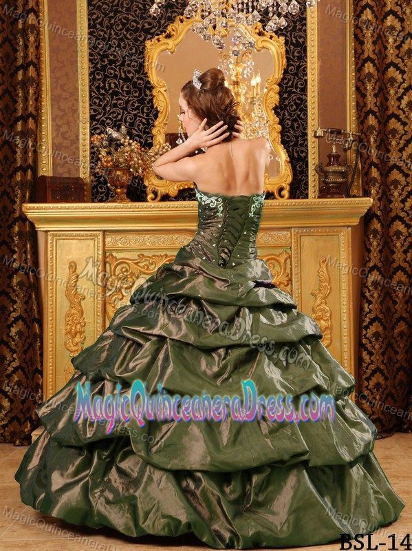 Embroidery Ruche and Pick Ups Ball Gown Sweet 16 Dresses in Yelm