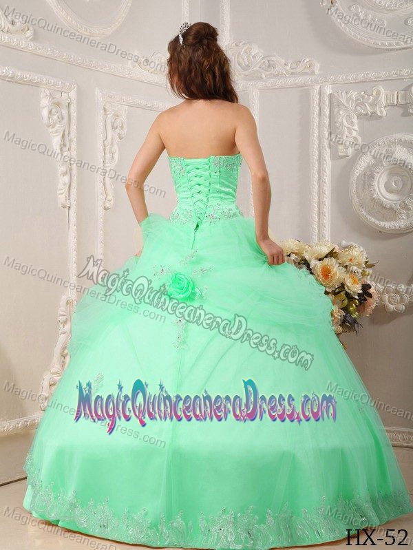 Handle Flowers and Lace Decorated Apple Green Sweet 15 Dress for Quince
