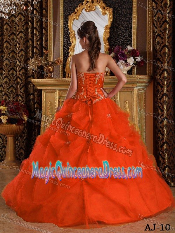 Cute Appliques and Pick Ups Bodice Quinceanera Gown Dresses in Edmonds