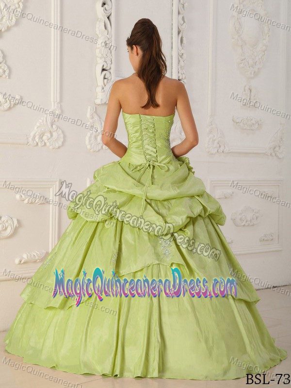 Appliques and Pick Ups Flower Dress For Quinceanera in Yellow Green