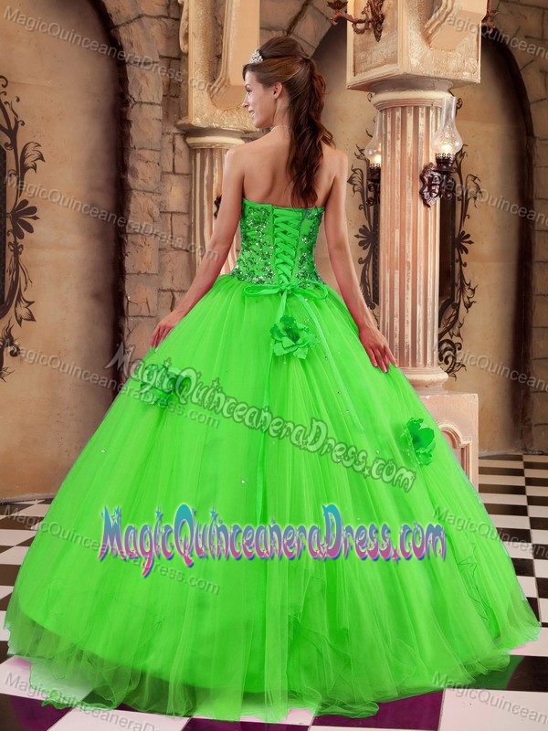 Pretty Sequins and Handler Flowers Dress for Quince in Green near Olympia