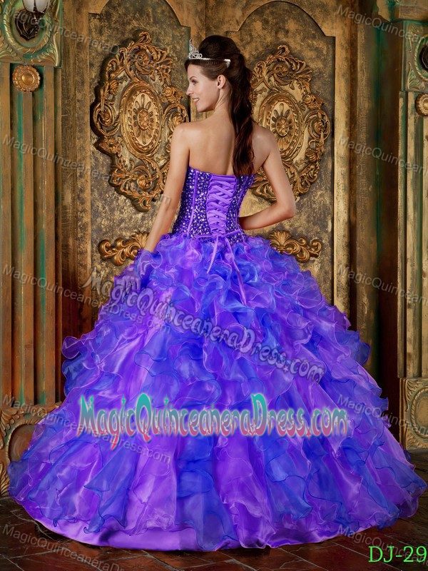 Beaded and Ruffled Strapless Puffy Bodice Sweet Sixteen Dresses in Sumner
