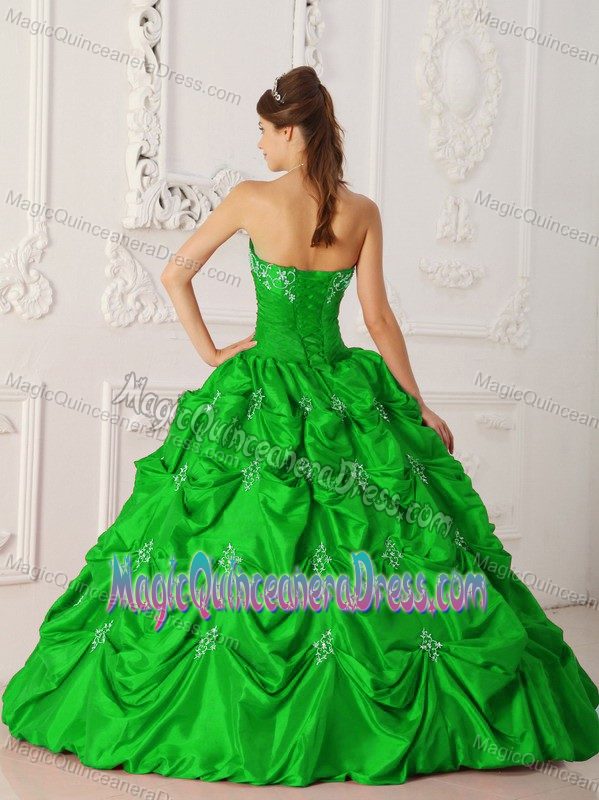 Embroidery Ruche and Pick Ups Green Quince Dresses in White Salmon
