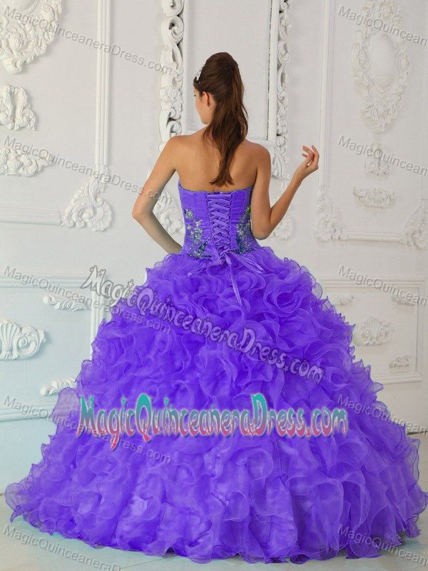 Floral Appliques and Ruffles Decorated Dress For Quinceaneras in Walla Walla