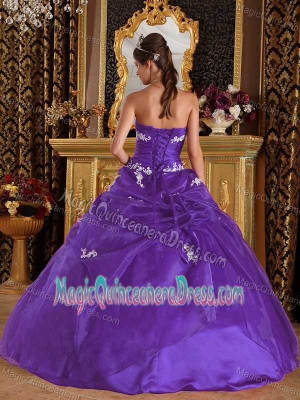 Appliques Decorated Ruching Sweet Sixteen Quinceanera Dresses in Spokane