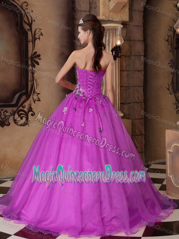 Sweetheart Sweet 16 Dresses with Embroidery and Appliques in Richland