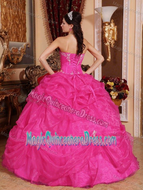 Hot Pink Dress For Quinceanera with Pick Ups and Appliques in Lynnwood