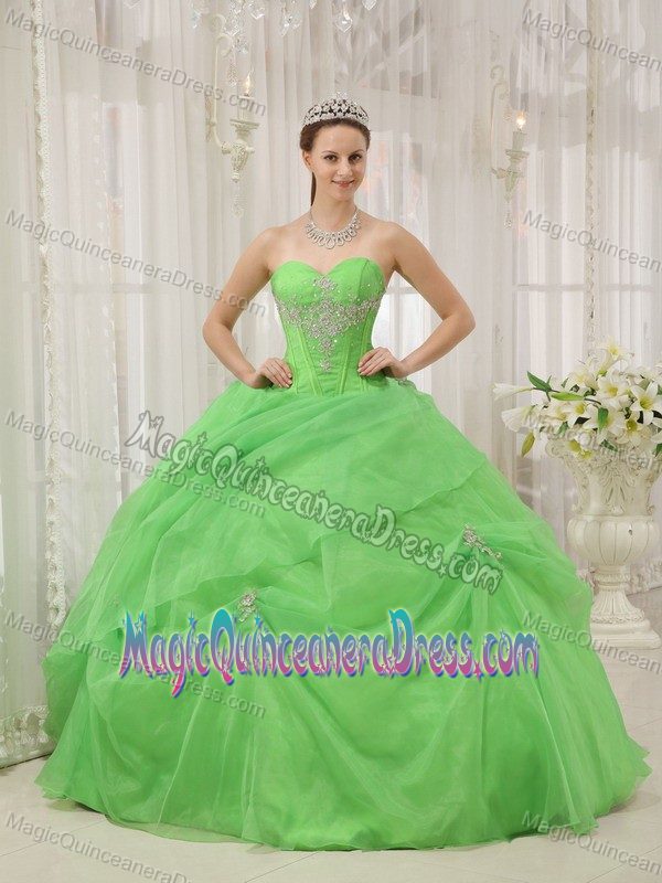Beaded Appliques Decorated Spring Green Sweet Sixteen Quinceanera Dress