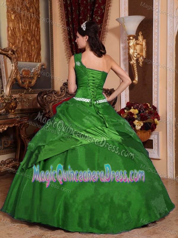 Single Shoulder Flower and Beading Quinces Dresses in Green in Auburn