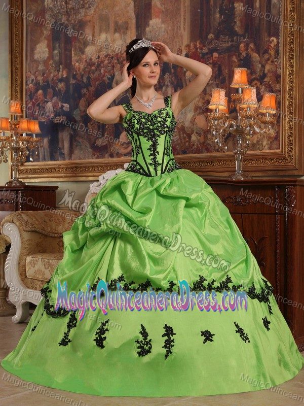 Straps Green Quinceanera Dresses with Appliques and Pick Ups for Woman