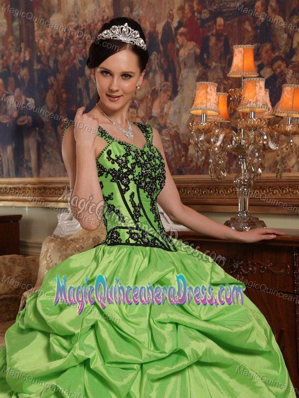 Straps Green Quinceanera Dresses with Appliques and Pick Ups for Woman