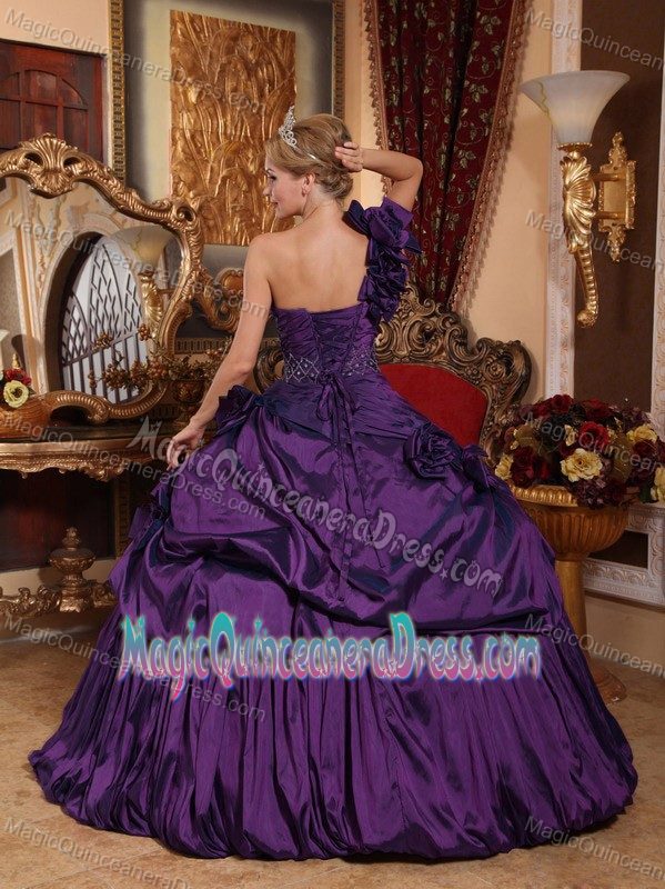 One Shoulder Floor-length Dark Purple Quinceanera Gown with Pick-ups