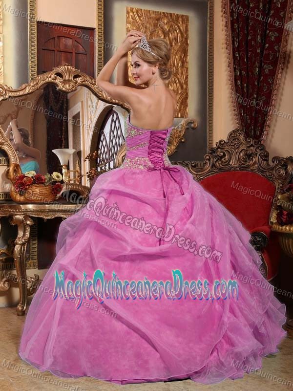 Organza Sweetheart Sweet 16 Dresses in Pink with Ruffles and Appliques