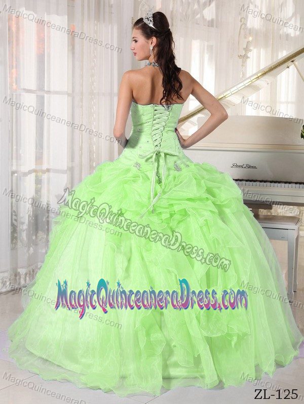 Brand New Yellow Green Strapless Organza Beading Quinceanera Dress in Leesburg