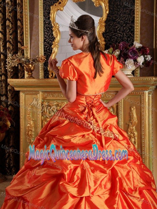 Affordable Orange Sweetheart Appliques Taffeta Sweet 16 Dresses in Alexandria VA