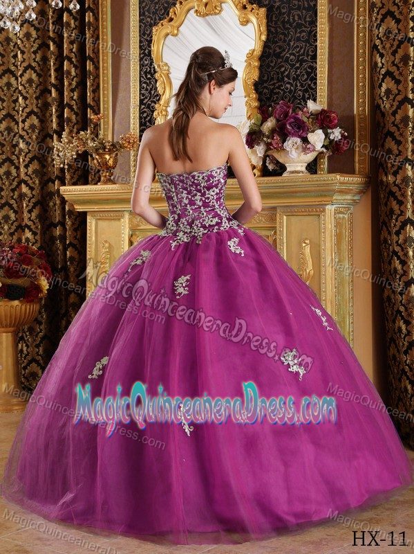 Affordable Fuchsia Sweetheart Appliqued Tulle Quinceanera Dress in Morgantown