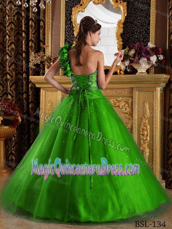 Spring Green A-Line / Princess One Shoulder Beaded Tulle Quinceanera Dress
