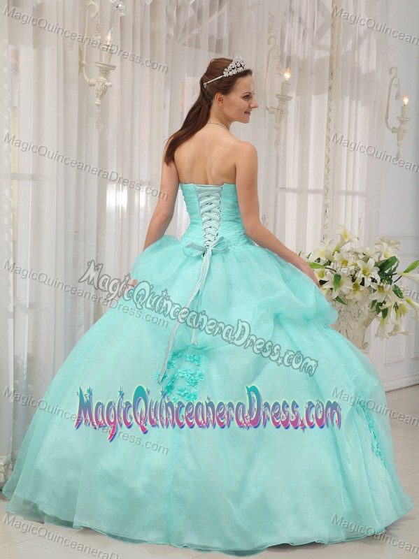 Apple Green Organza Appliques and Flowers Sweetheart Quinceanera Dress
