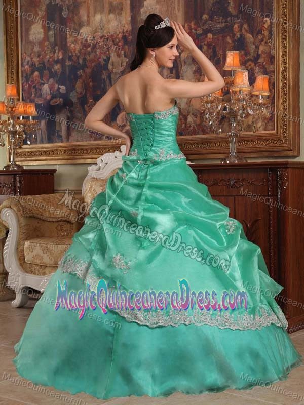 Discounted Apple Green Sweetheart Appliques Dress for Quince in Sterling VA