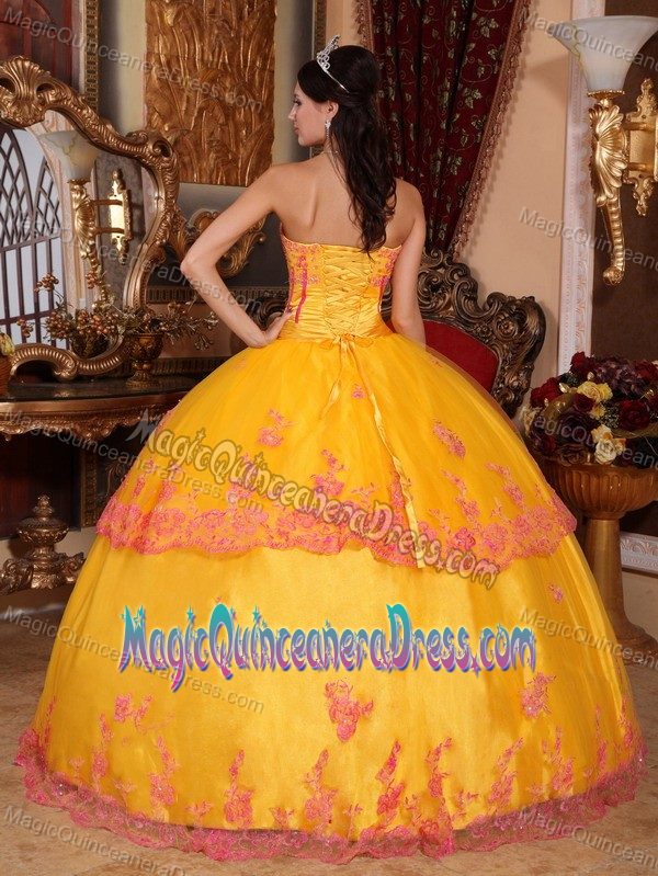 Yellow Strapless Organza Lace and Appliques Quinceanera Gowns in Reston VA