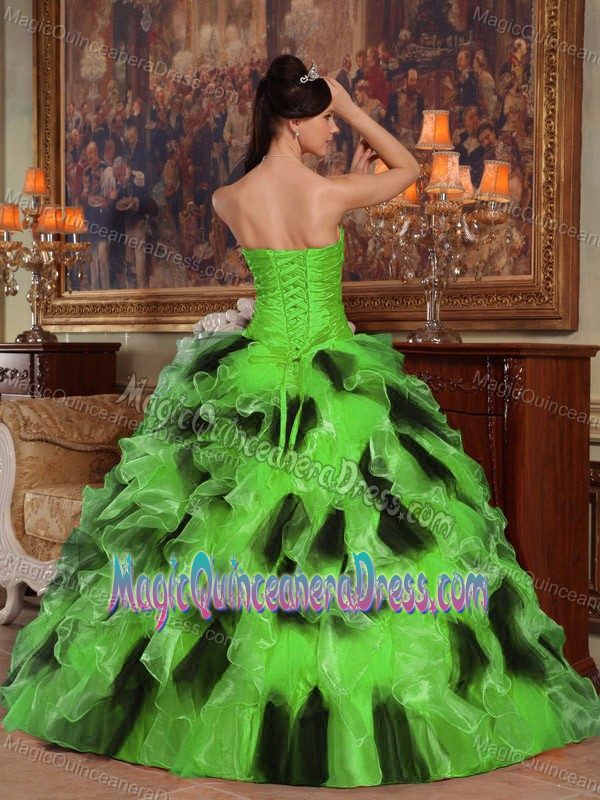 Strapless Floor-length Spring Green Organza Quinceanera Dress with Ruffles