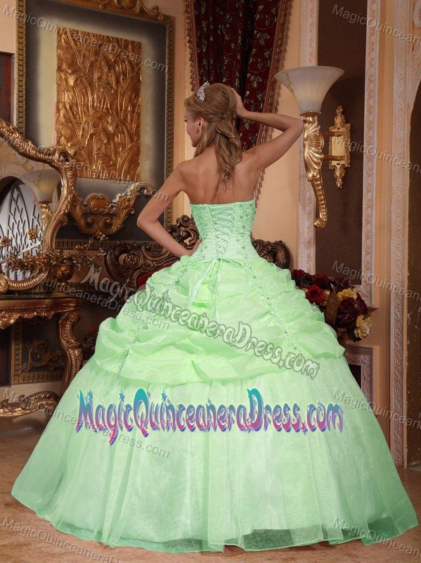 Apple Green Strapless Organza Quinceanera Dress with Appliques in Las Cabras