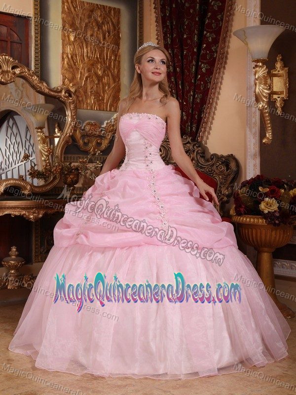 Baby Pink Strapless Floor-length Organza Appliqued Quince Dress in Gultro